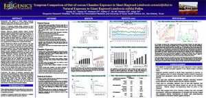 Symptom Comparison of Out-of-season Chamber Exposure to Short Ragweed (Ambrosia artemisiifolia) to Natural Exposure to Giant Ragweed (Ambrosia trifida) Pollen